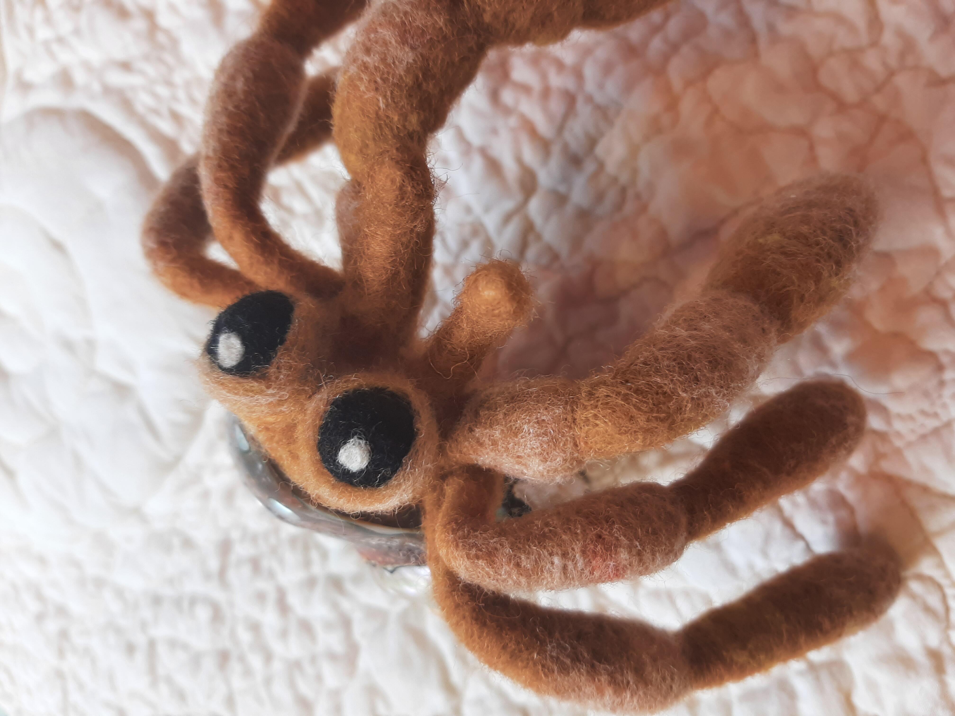 Art & Collectibles Fiber & Textile Arts Needle Felted Hermit Crab