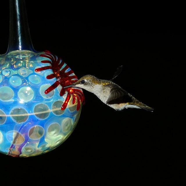 OR- Hummingbird Feeder, The Kennedy Style Hummingbird factory Feeder, The Original One Piece Drip-less Hummingbird Feeder. Free Gift Wrapping