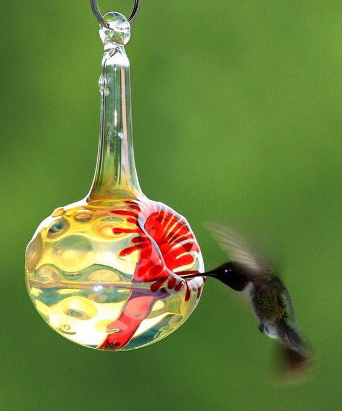 Store OR- Hummingbird Feeder, The Kennedy Style Hummingbird Feeder, The Original One Piece Drip-less Hummingbird Feeder. Free Gift Wrapping