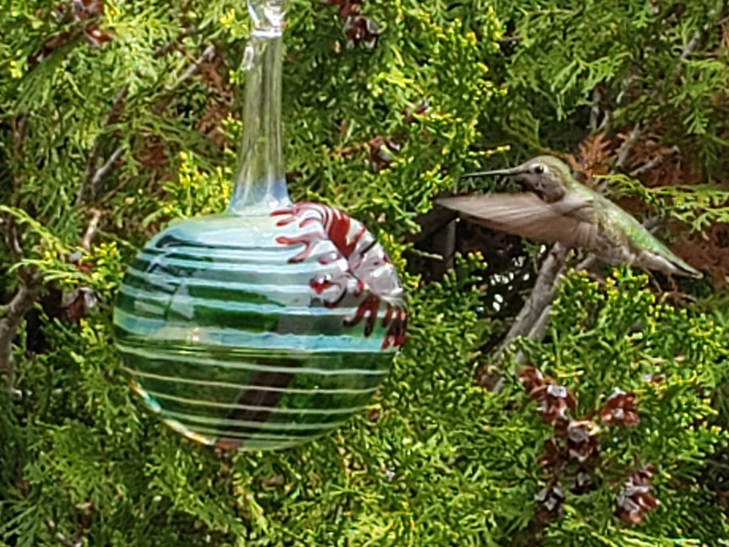 OR- Hummingbird Feeder, The Kennedy Style Hummingbird factory Feeder, The Original One Piece Drip-less Hummingbird Feeder. Free Gift Wrapping