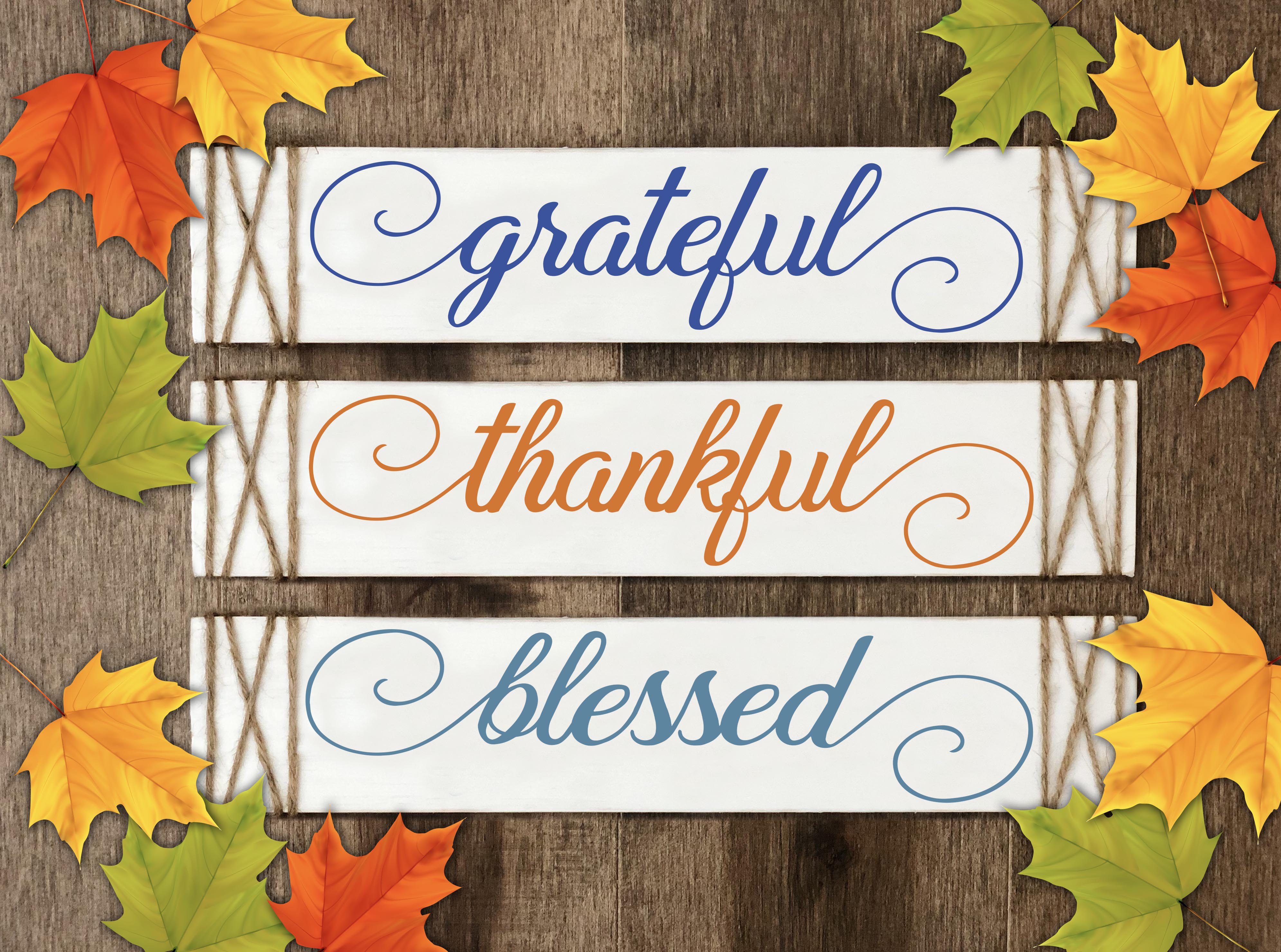 Grateful, Thankful, Blessed, Fall Wood Signs w/twine