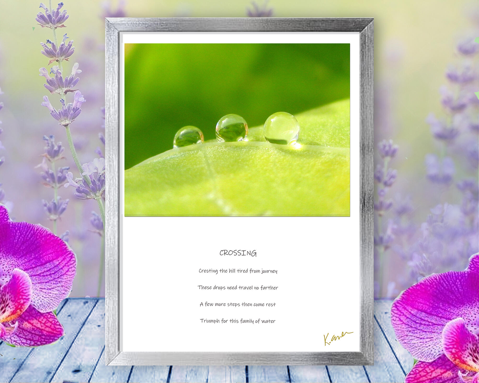 Water drops rest on the curve of a leaf at the end of a remarkable journey, in this soothing, spiritual, nature photo with poem - Crossing by The Poetry of Nature