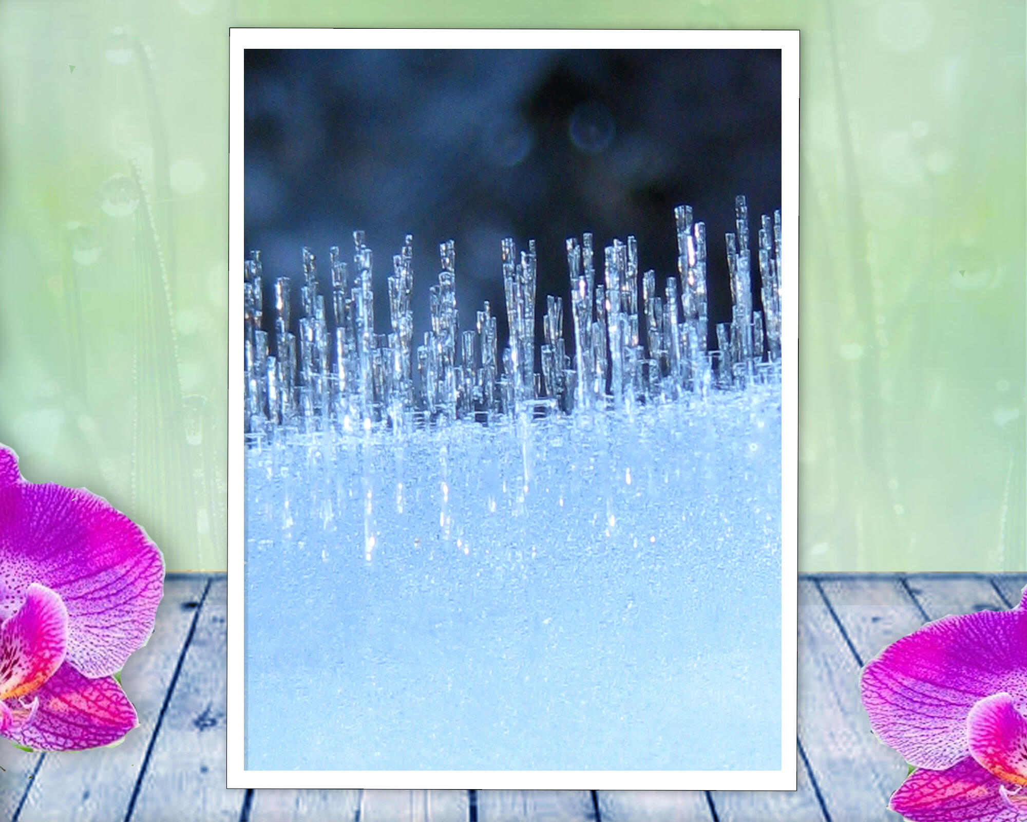 Crystals of ice greet the day in this imaginative, intriguing, Nature Spirit Story. Photo with Poem - Ice People by The Poetry of Nature
Crystals of ice greet the day in this imaginative, intriguing, Nature Spirit Story. Photo with Poem - Ice People by The Poetry of Nature