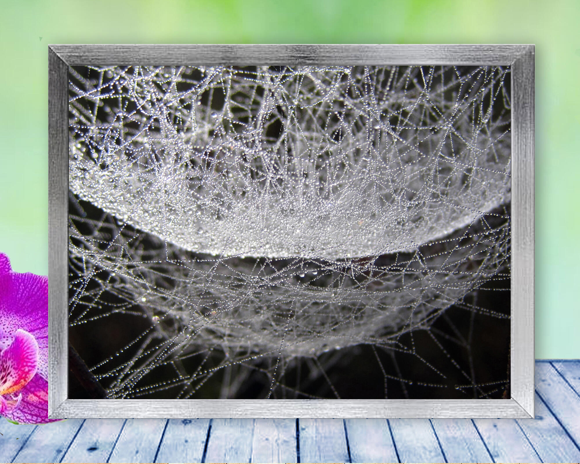 A dew covered spider web becomes a water hammock in this soothing, peaceful nature photo with Poem - Spider Hammock by The Poetry of Nature