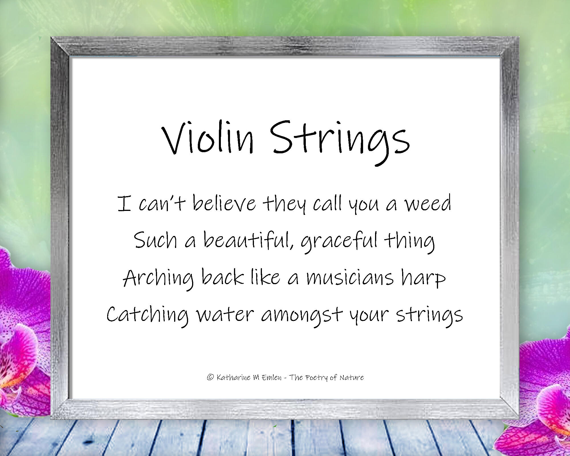 Poem for Violin Strings - A sprig of wheat catches the morning dew in this peaceful, soothing, nature print with poem - Violin Strings by The Poetry of Nature