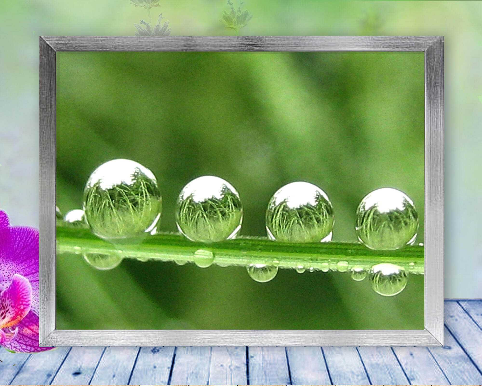 Four drops of water rest on a blade of grass reflecting the world around them, in this beautiful, peaceful, nature photo with poem-Water Parks by The Poetry of Nature
