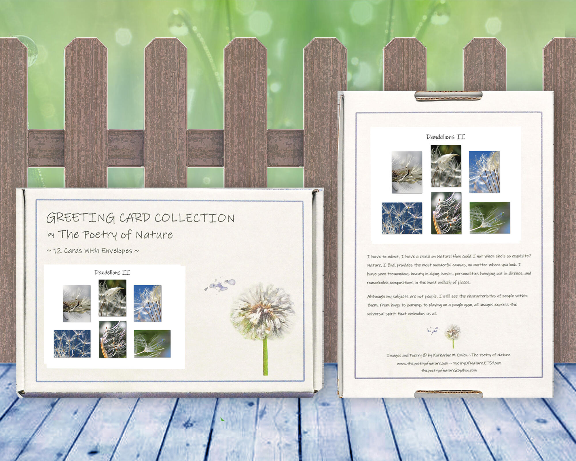 Dandelions II - Colorful, botanical, greeting card collection by The Poetry of Nature, Stories in nature photo cards with poems. Boxed Set Baker's Dozen