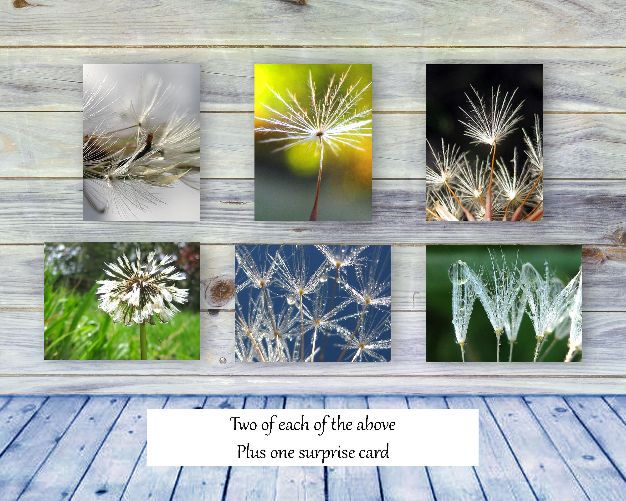 Dandelions I - Greeting Card Collection by The Poetry of Nature