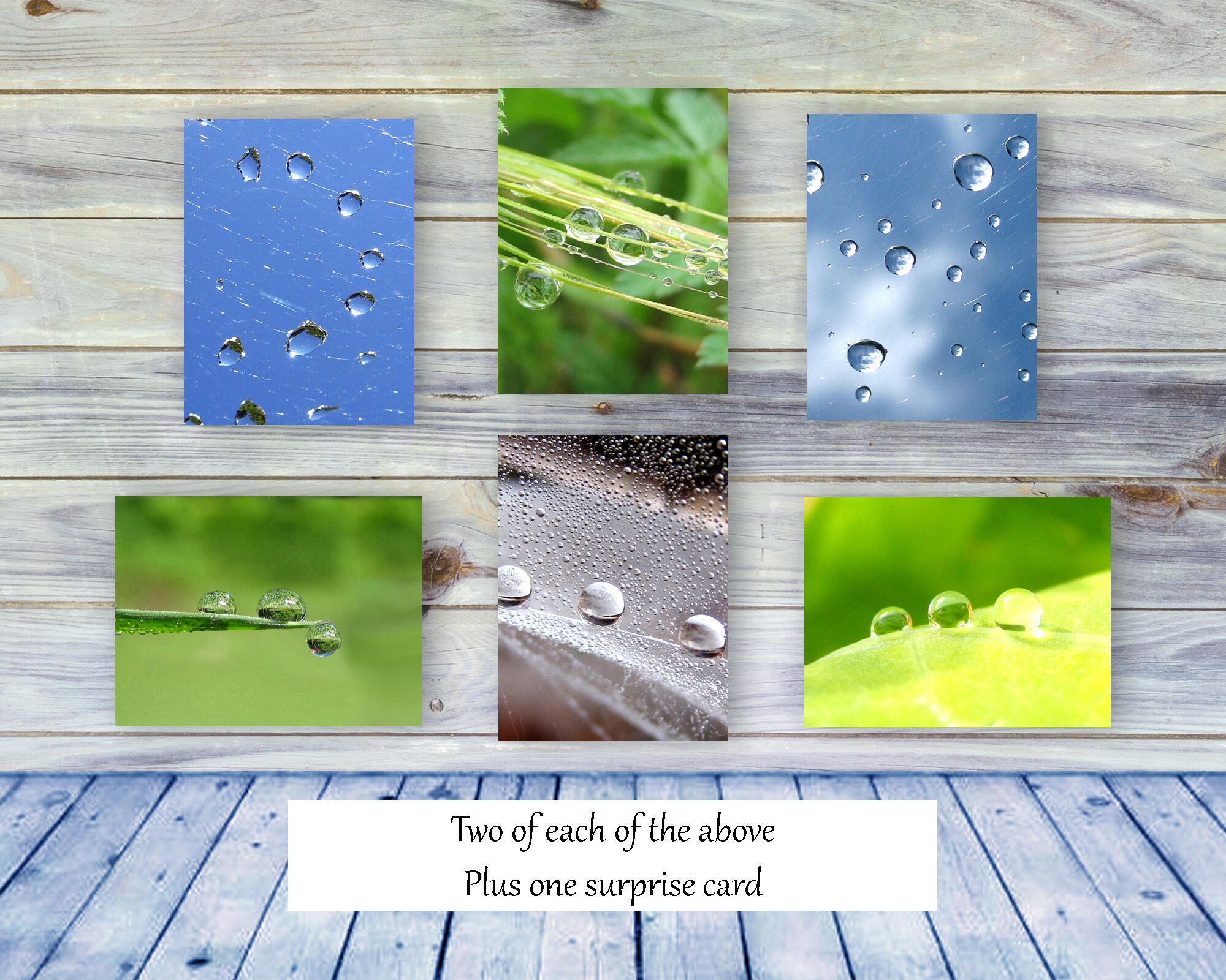 Dew Drops III - Colorful, botanical, greeting card collection by The Poetry of Nature, Stories in nature photo cards with poems. Boxed Set Baker's Dozen