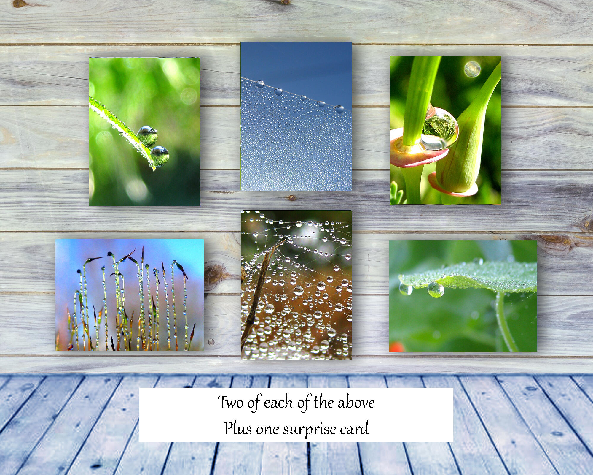 Dew Drops II - Colorful, botanical, greeting card collection by The Poetry of Nature, Stories in nature photo cards with poems. Boxed Set Baker's Dozen