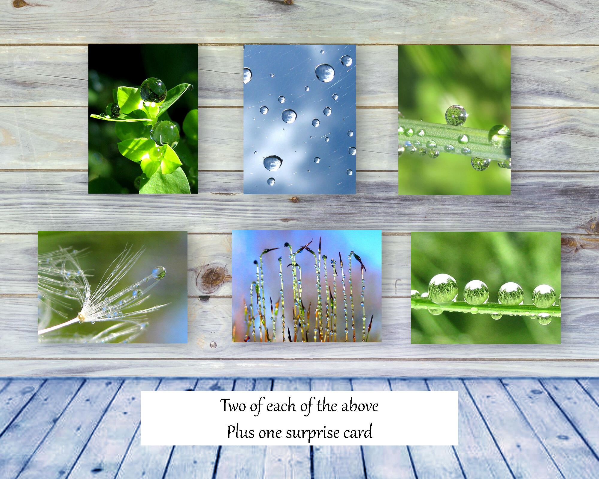Meditation – Peaceful soothing, greeting card collection by The Poetry of Nature, Stories in nature photo cards with poems. Boxed Set Baker's Dozen