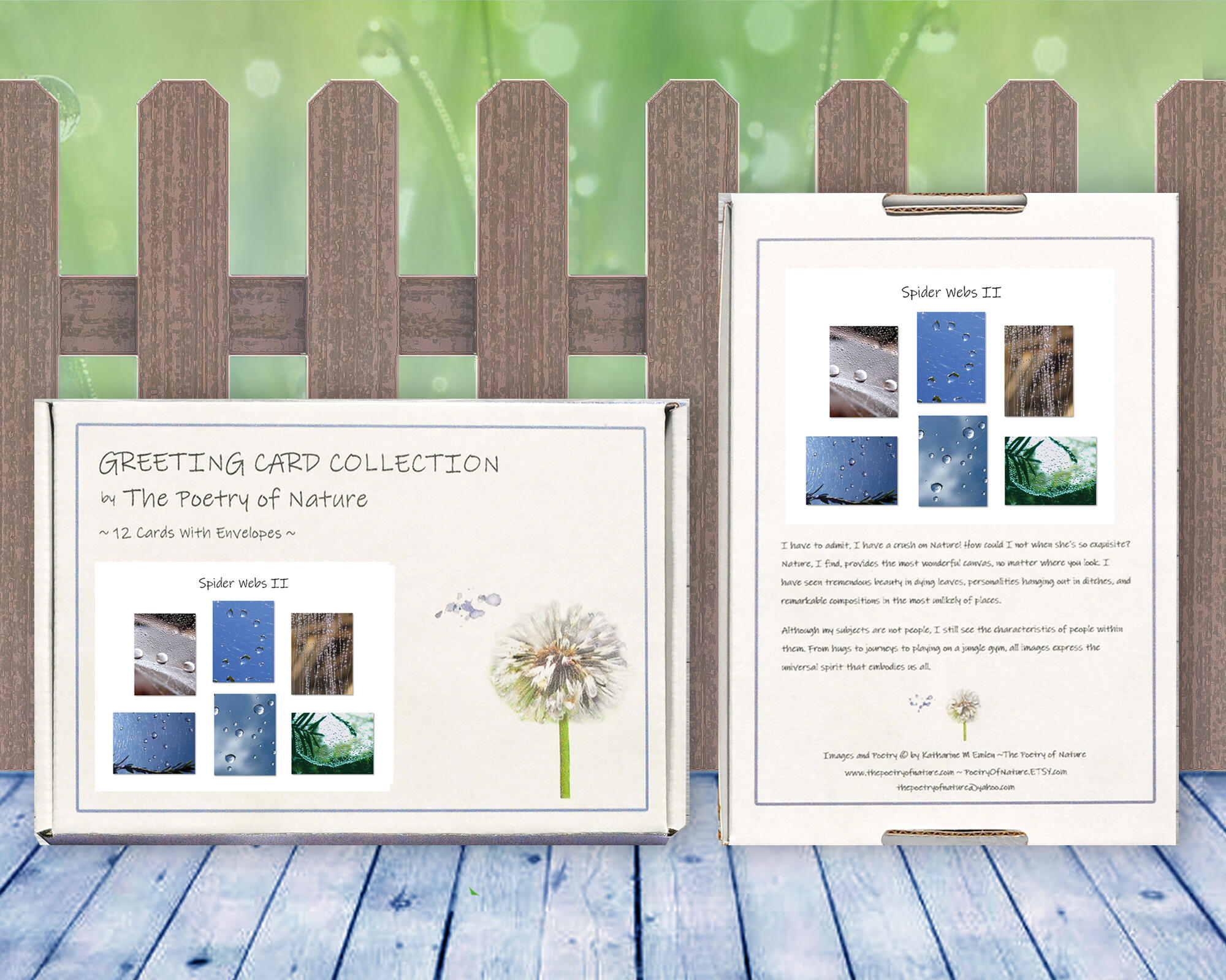 Spider WebsII - Greeting Card Collection by The Poetry of Nature