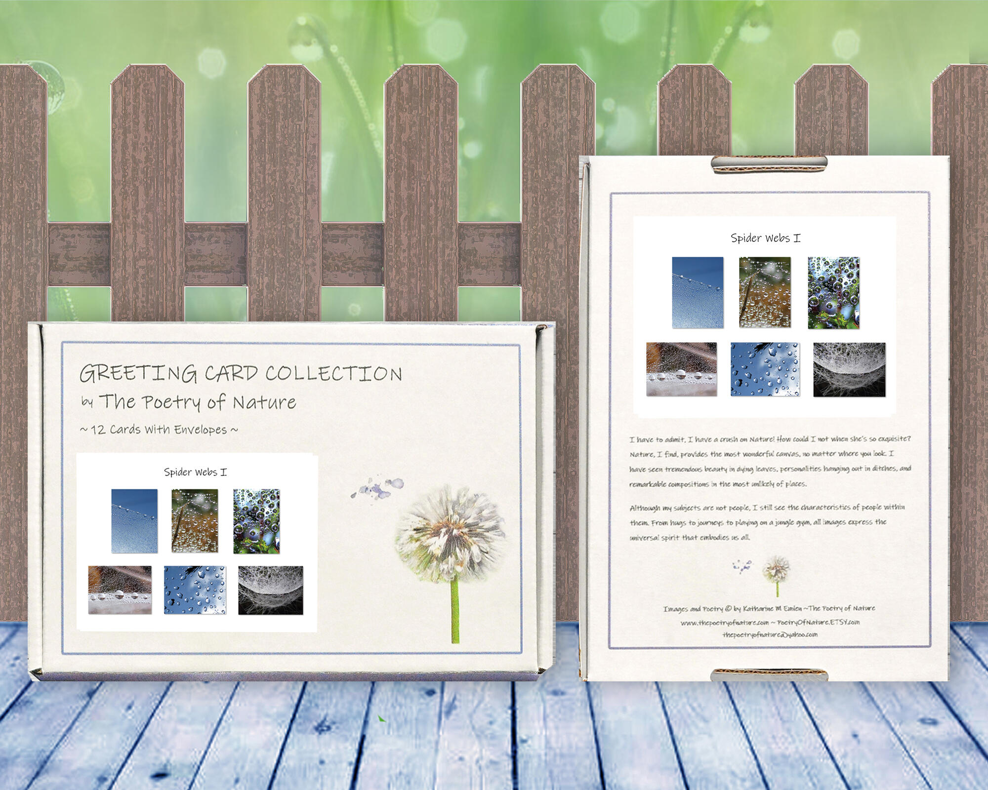 Spider Webs I - Greeting Card Collection by The Poetry of Nature