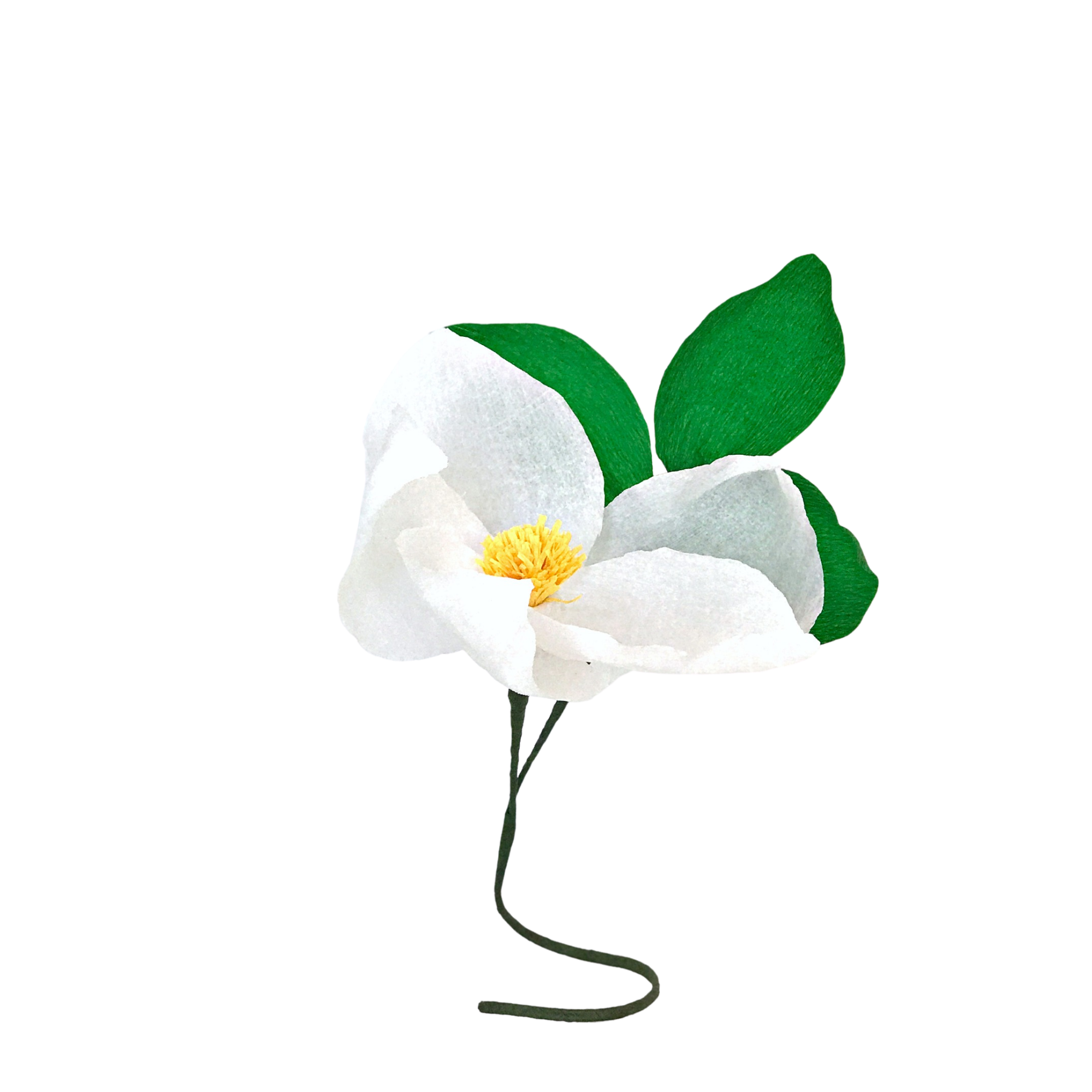 Cherokee indian essay image