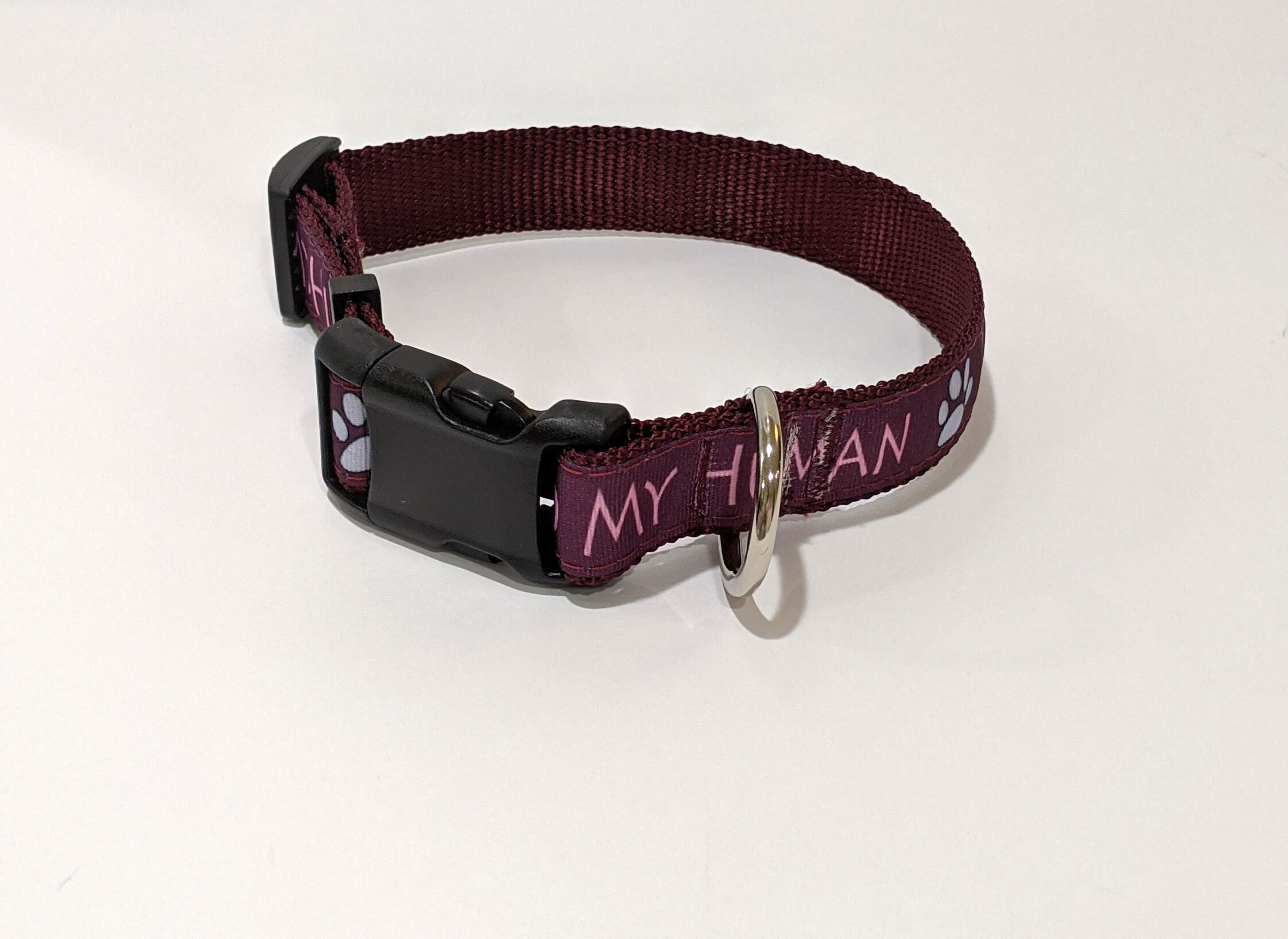 1 inch dog collar
