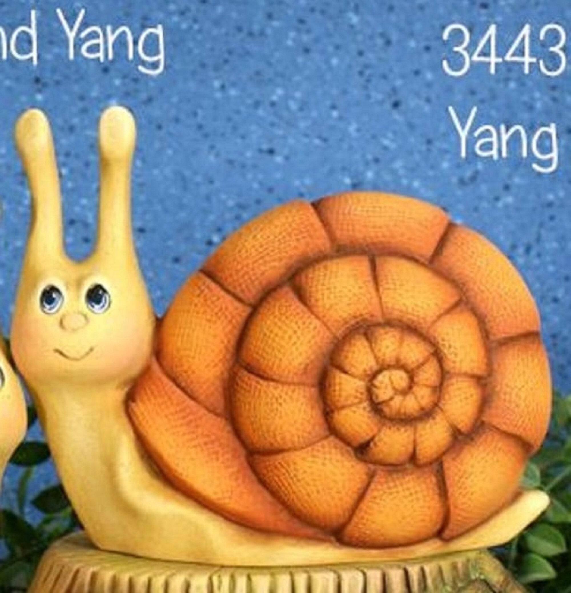 Products Unpainted Ceramic Garden Snails Yin and Yang Set of 2 You