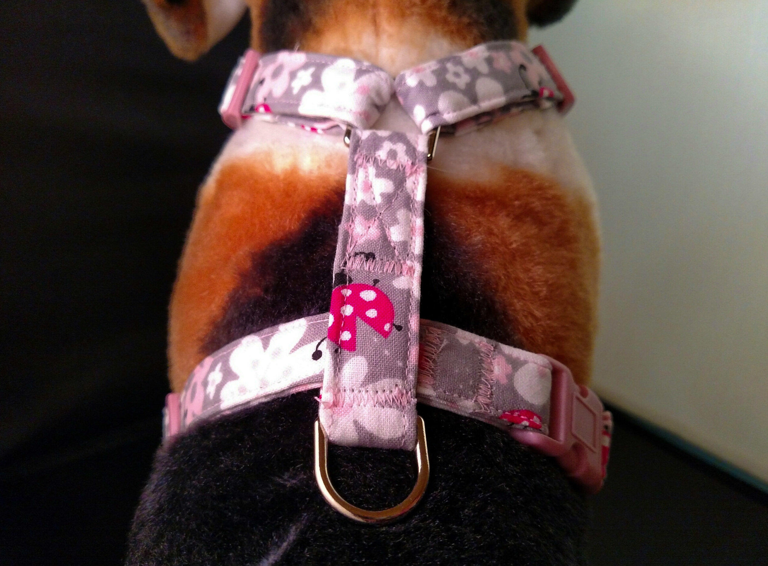 Ladybug dog outlet harness