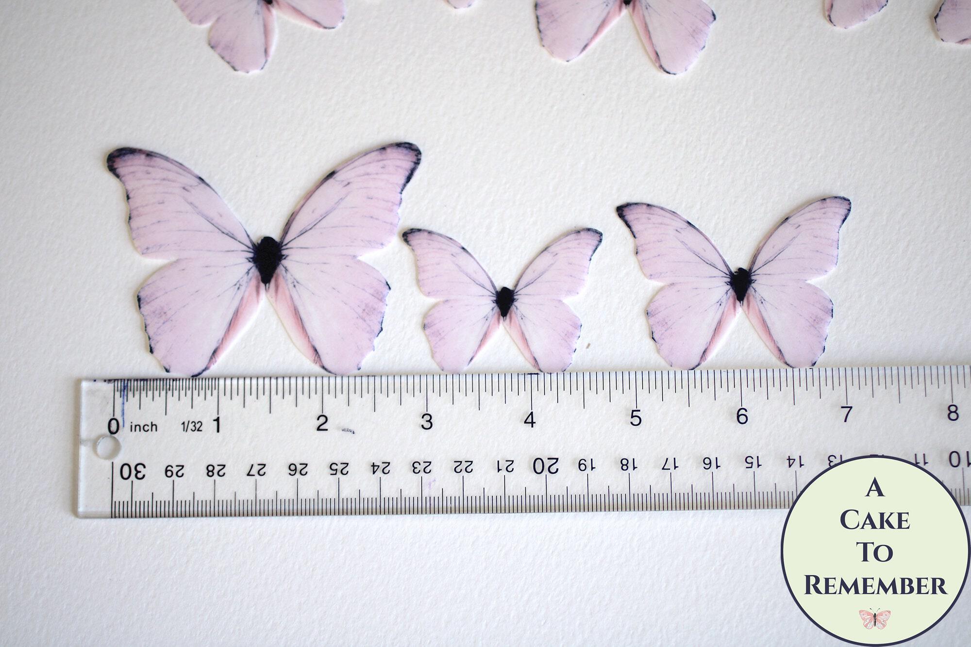 Soft Pink Ombre Edible Pre-Cut 3D Wafer Paper Butterflies--16