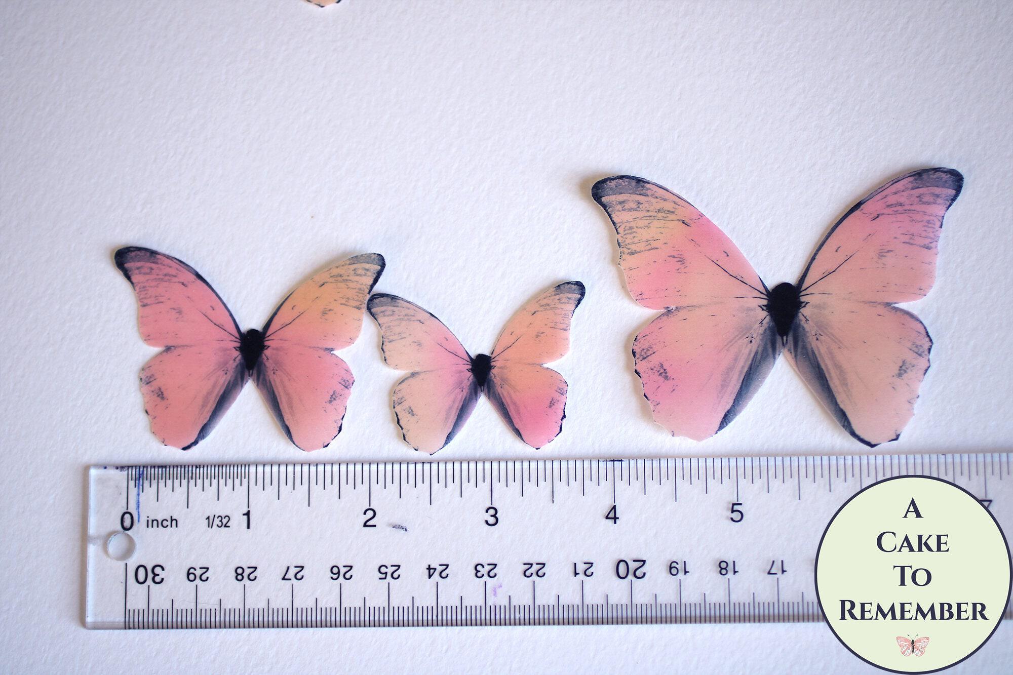 Products Peachy pink orange watercolor edible butterflies, 12 wafer