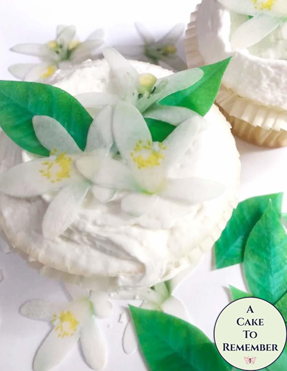 Products :: Edible lemon blossoms and leaves cupcake toppers. Wafer paper  edible flowers for baby in bloom baby showers, cake decorating