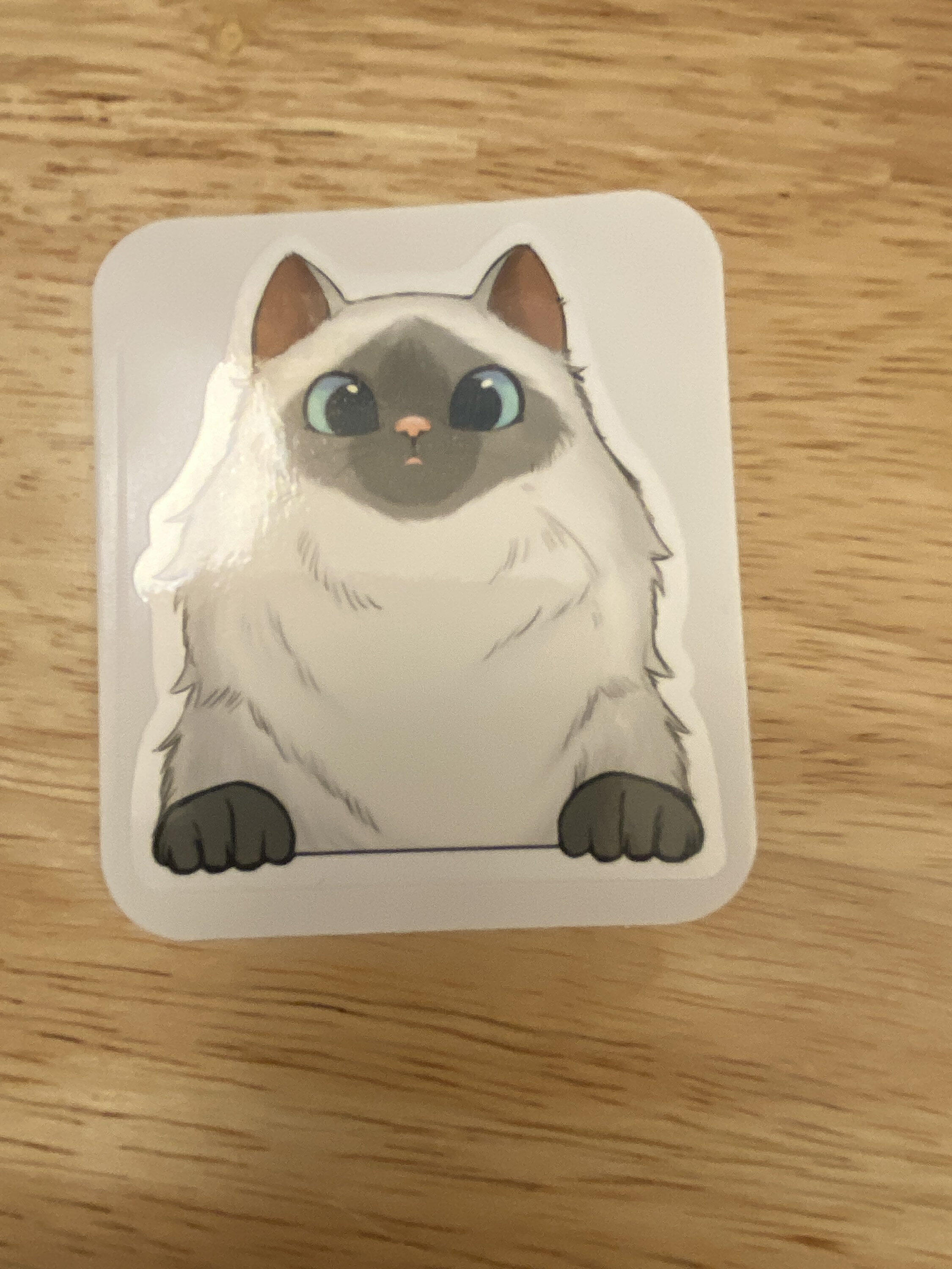 Cat Stickers Sticker for Sale by meshellg12