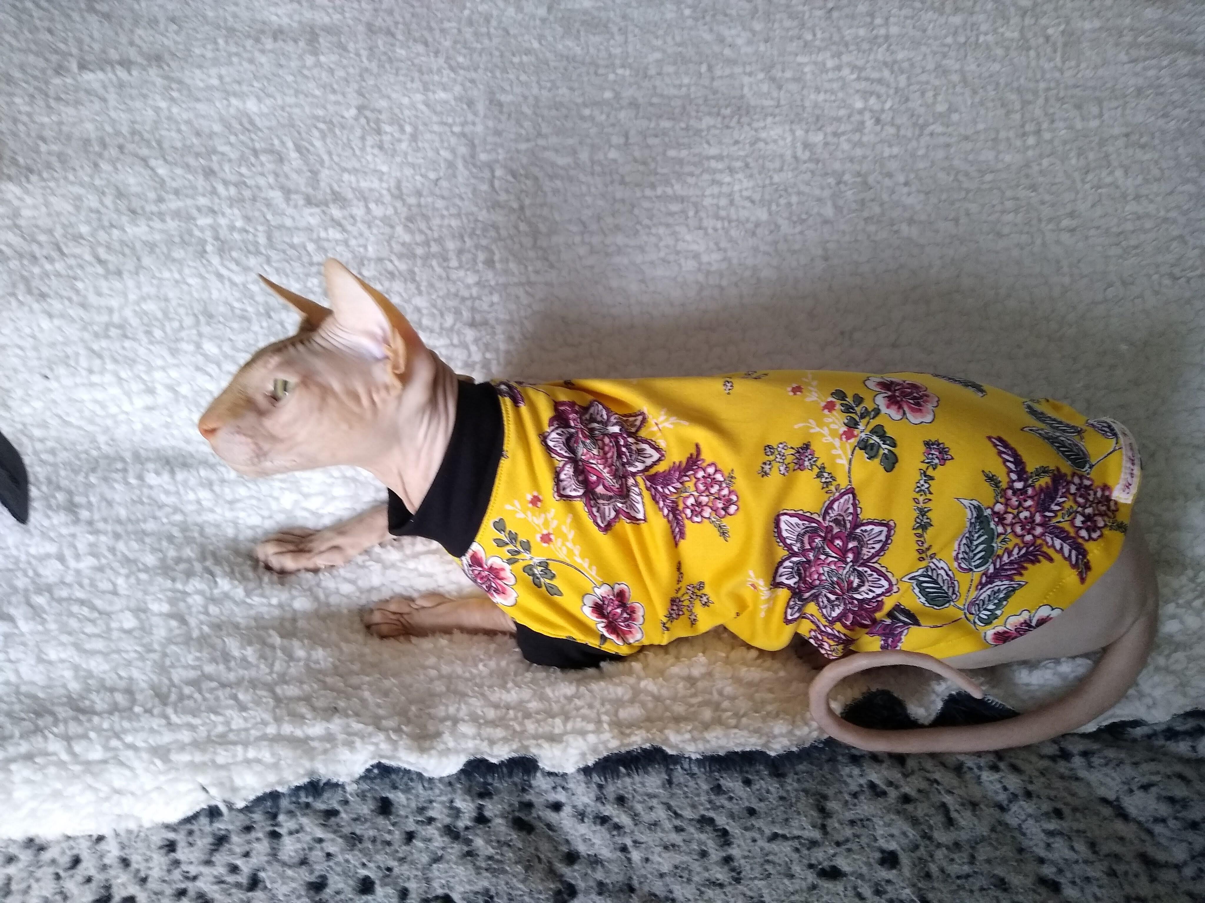 Cat Clothes Sphynx Clothes Sphynx Sweater Cat Sweater 