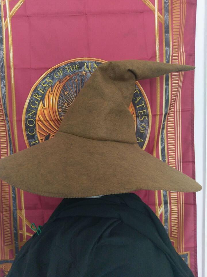 Fish hat Wool wet felt made earth wizard high hat Halloween gift hat COS creative fall and winter hat handmade felt outlets hat