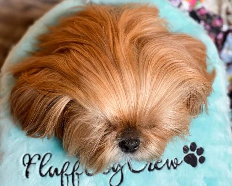 Minky Top Knot Pillow