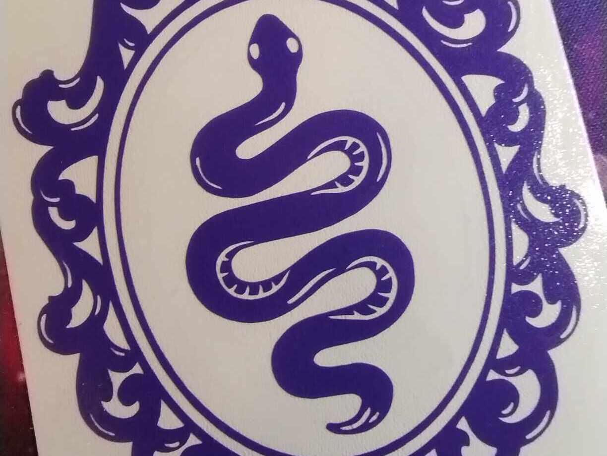 Snake in oval frame car decal