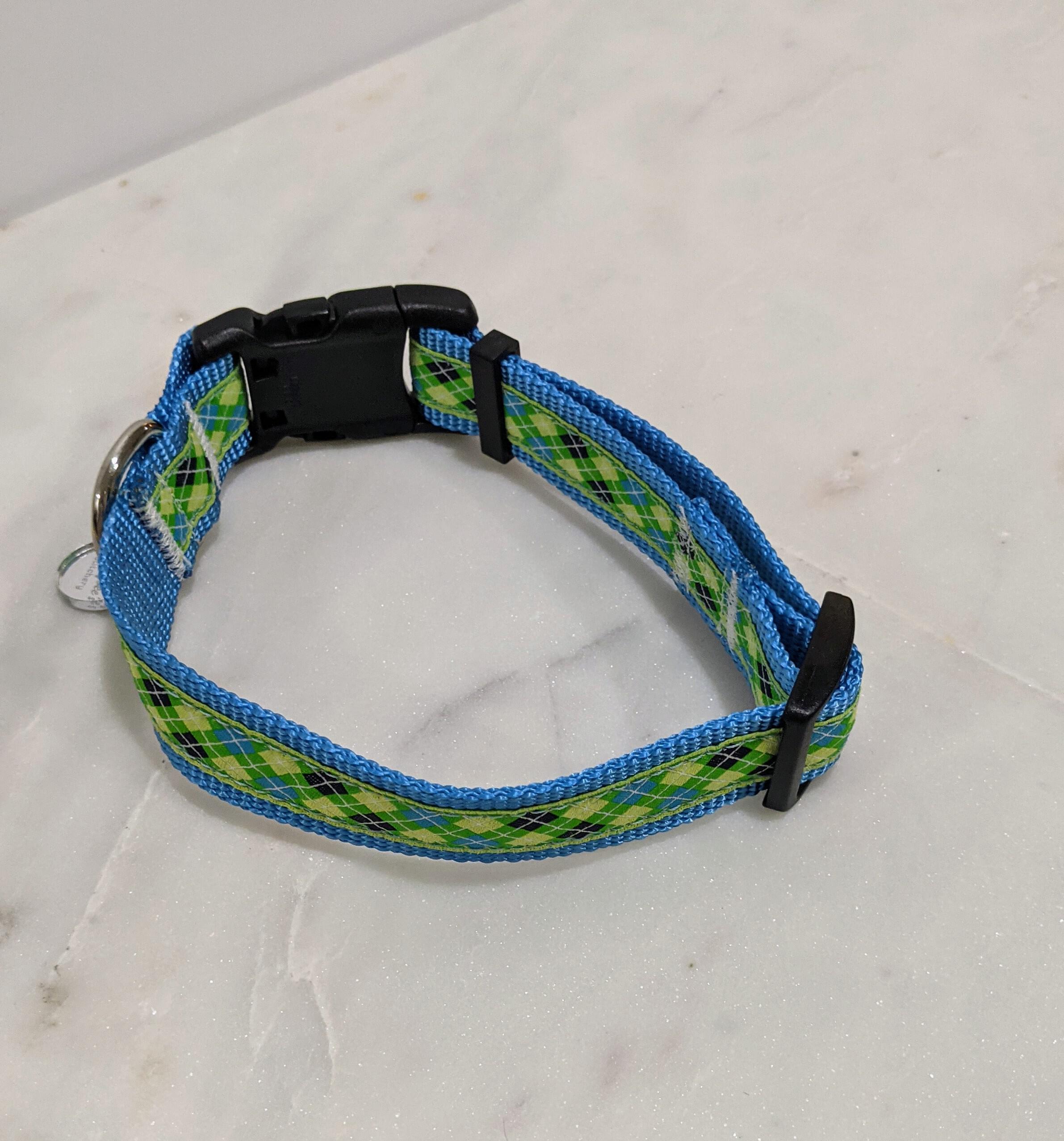 blue argyle dog collar