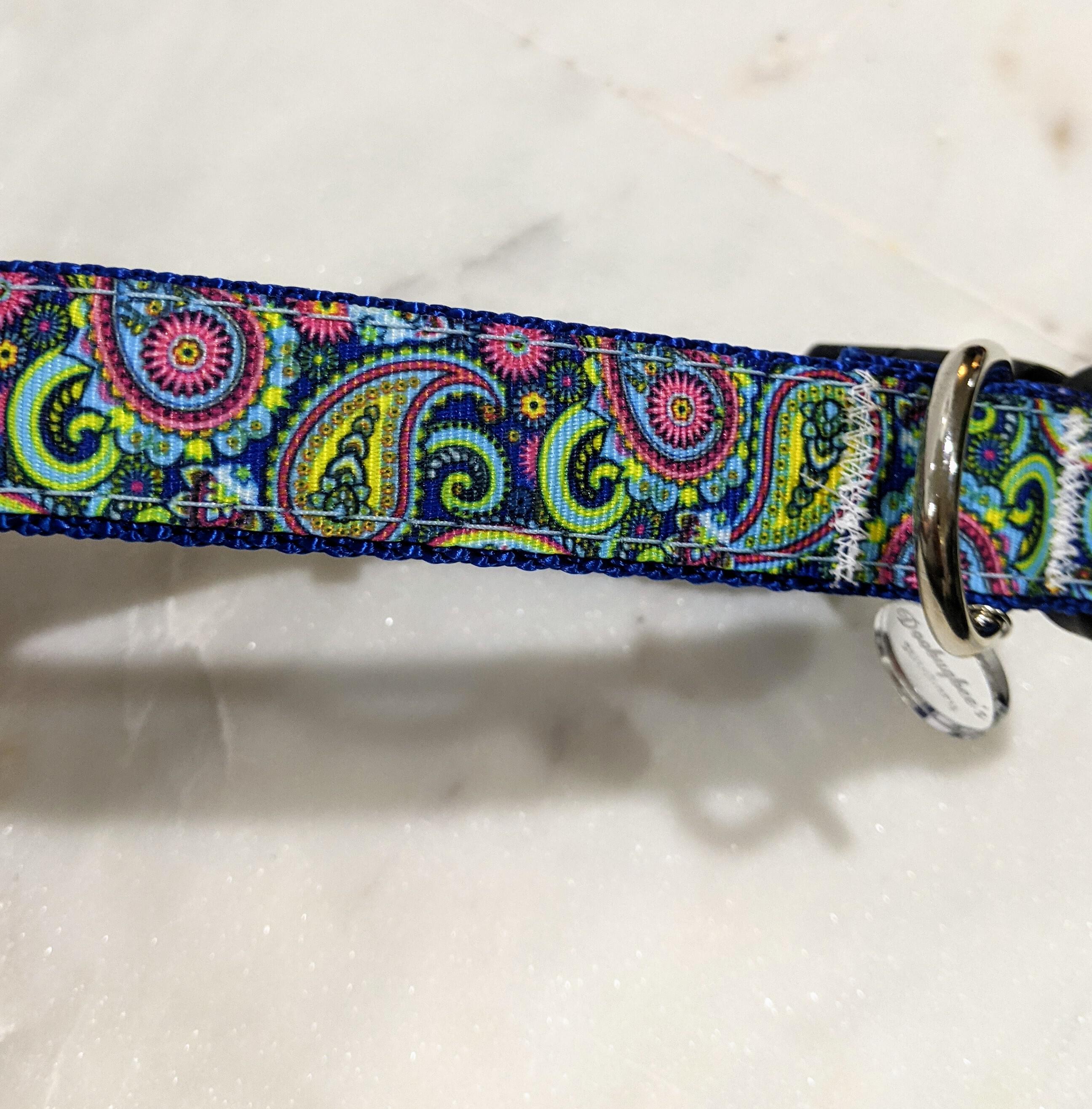 multicolor paisley dog collar