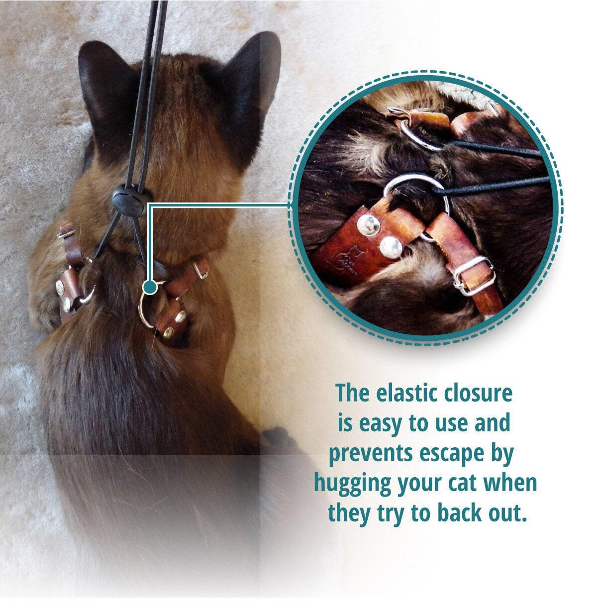 Products :: Cat Harness & Leash Set - apricot leather, choke-free