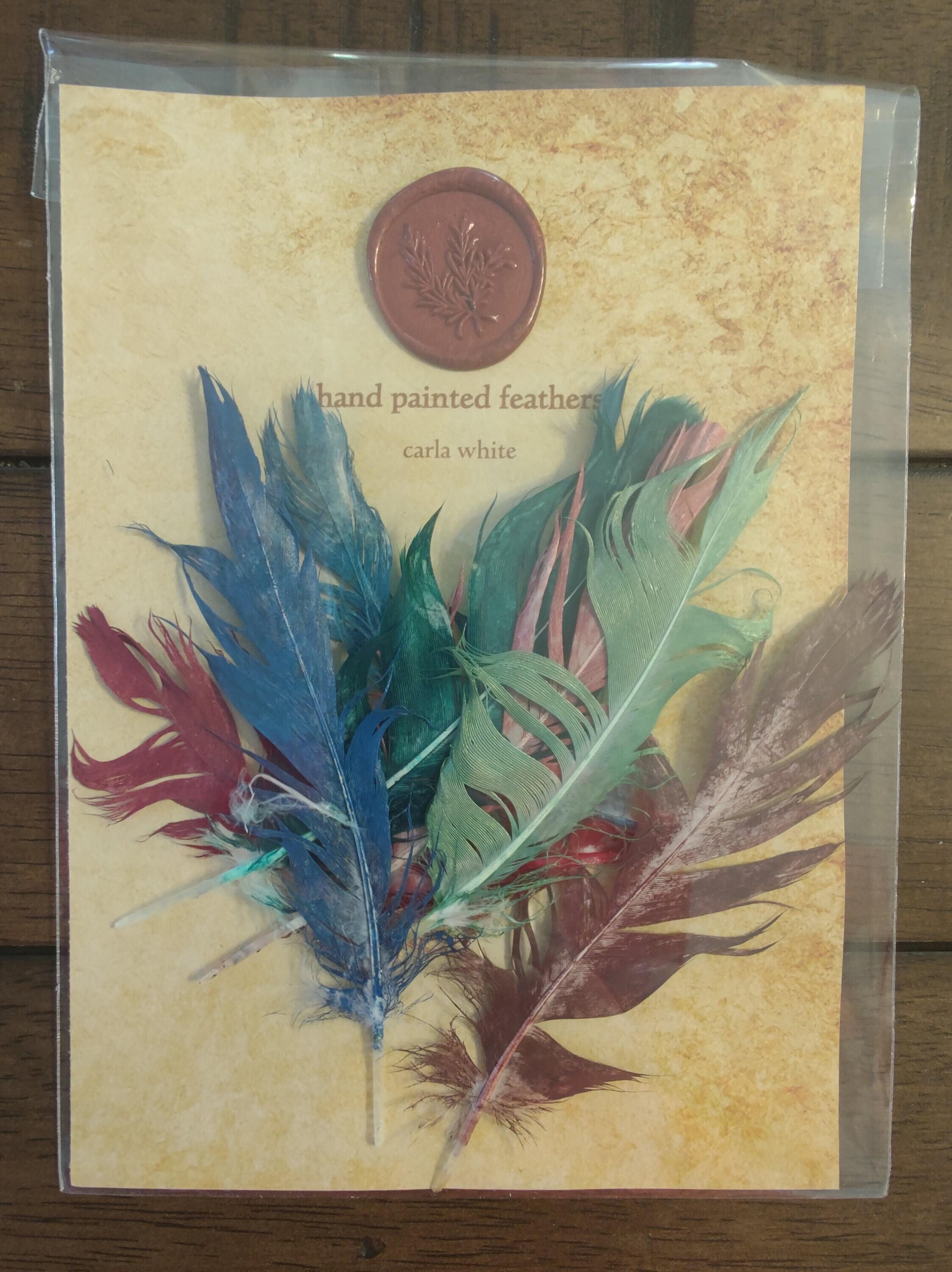 Hand Painted Feathers Assorted Colors 6 Pack   Il Fullxfull.4693659137 O3qo 