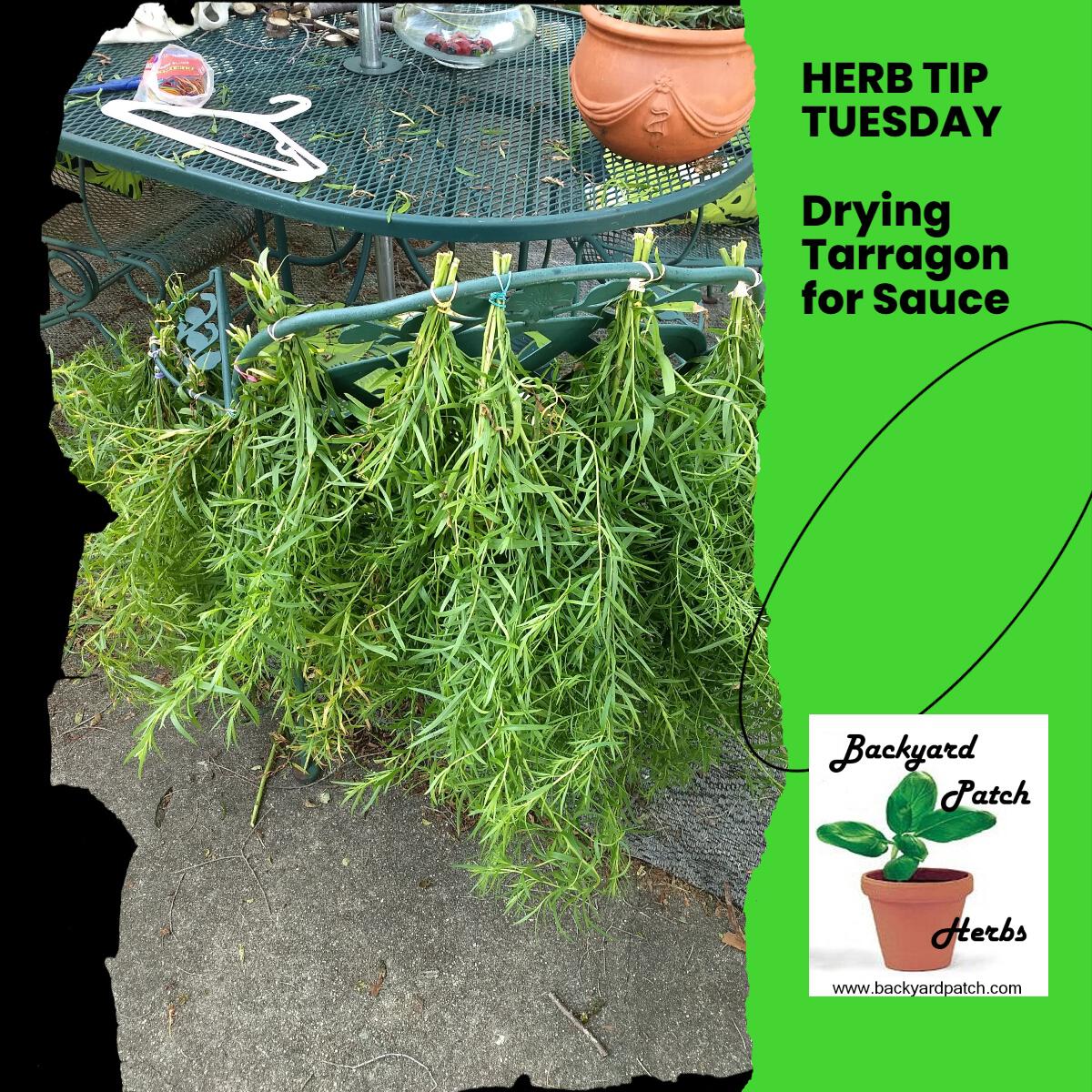 Products Set of Two Tarragon Yogurt Dip Mixes, Handblended dry Herb