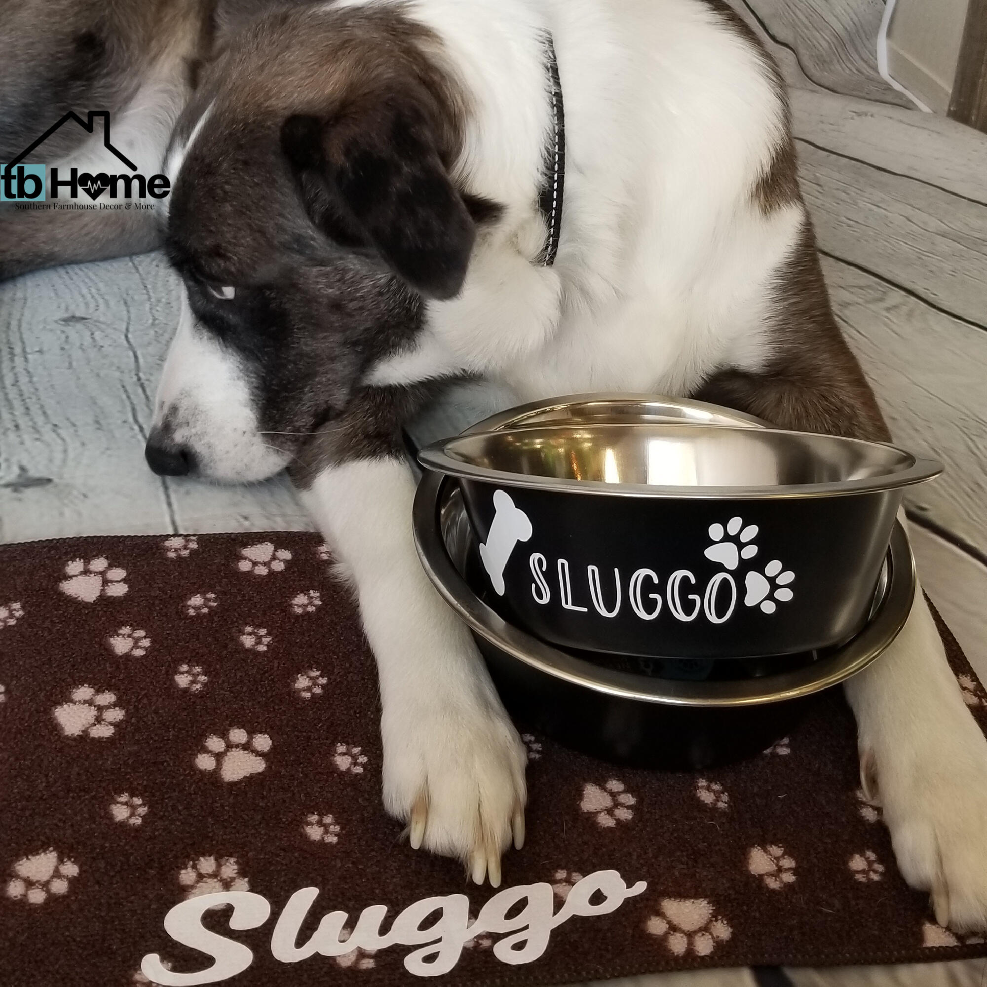 Pet mat Personalized Pet bowl mat pet feeding mat new puppy supplies pet bowl mat custom pet bowl mat