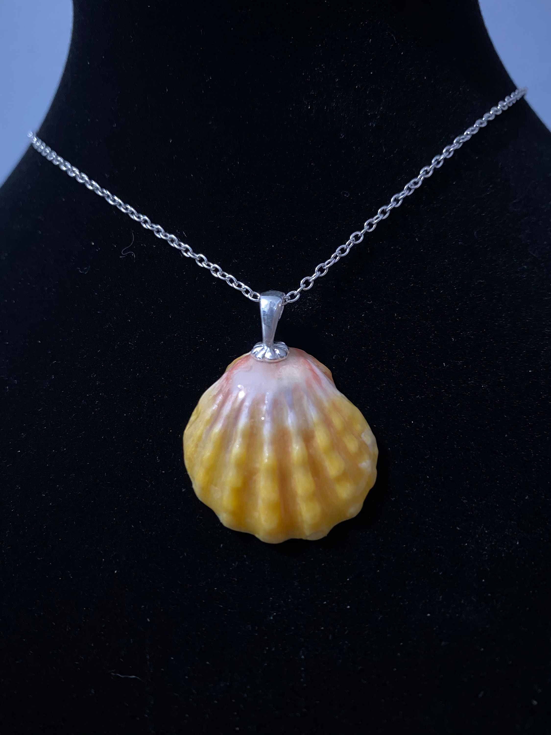 Pink/Yellow/Orange Hawaiian Sunrise Scallop Seashell