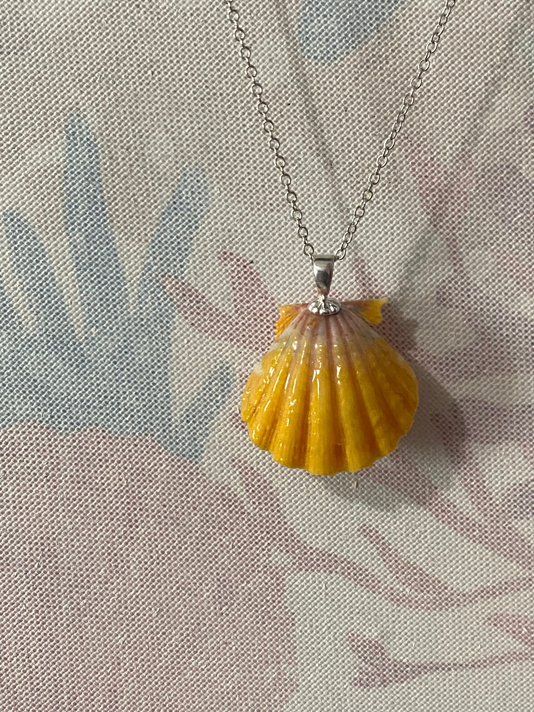 Pink/Yellow/Orange Hawaiian Sunrise Scallop Seashell