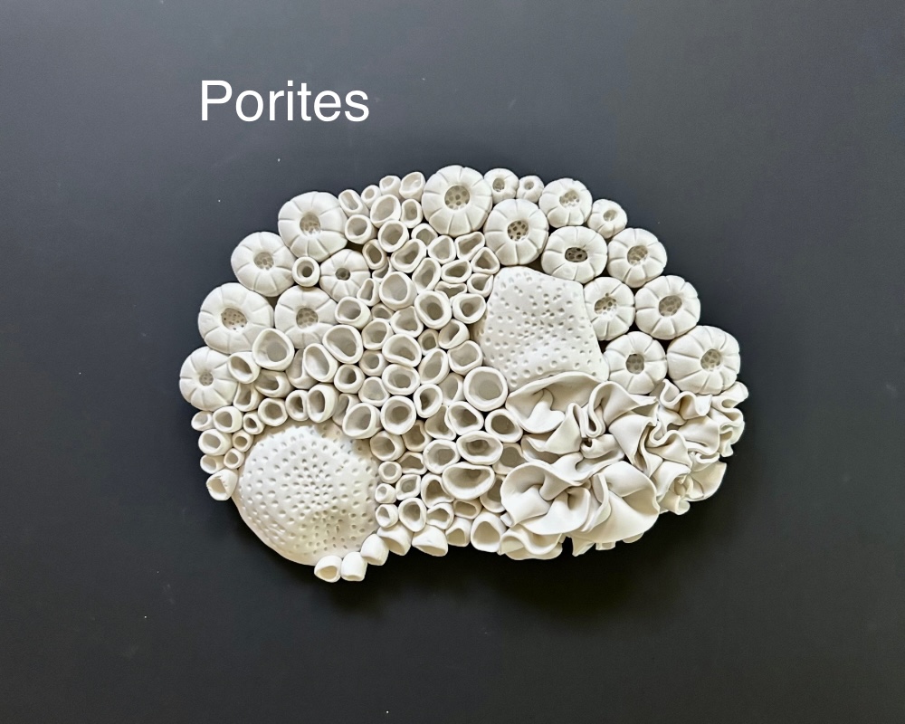 Faux Coral Sphere Wall Sculpture (hangs or lays flat) HHM001-S3