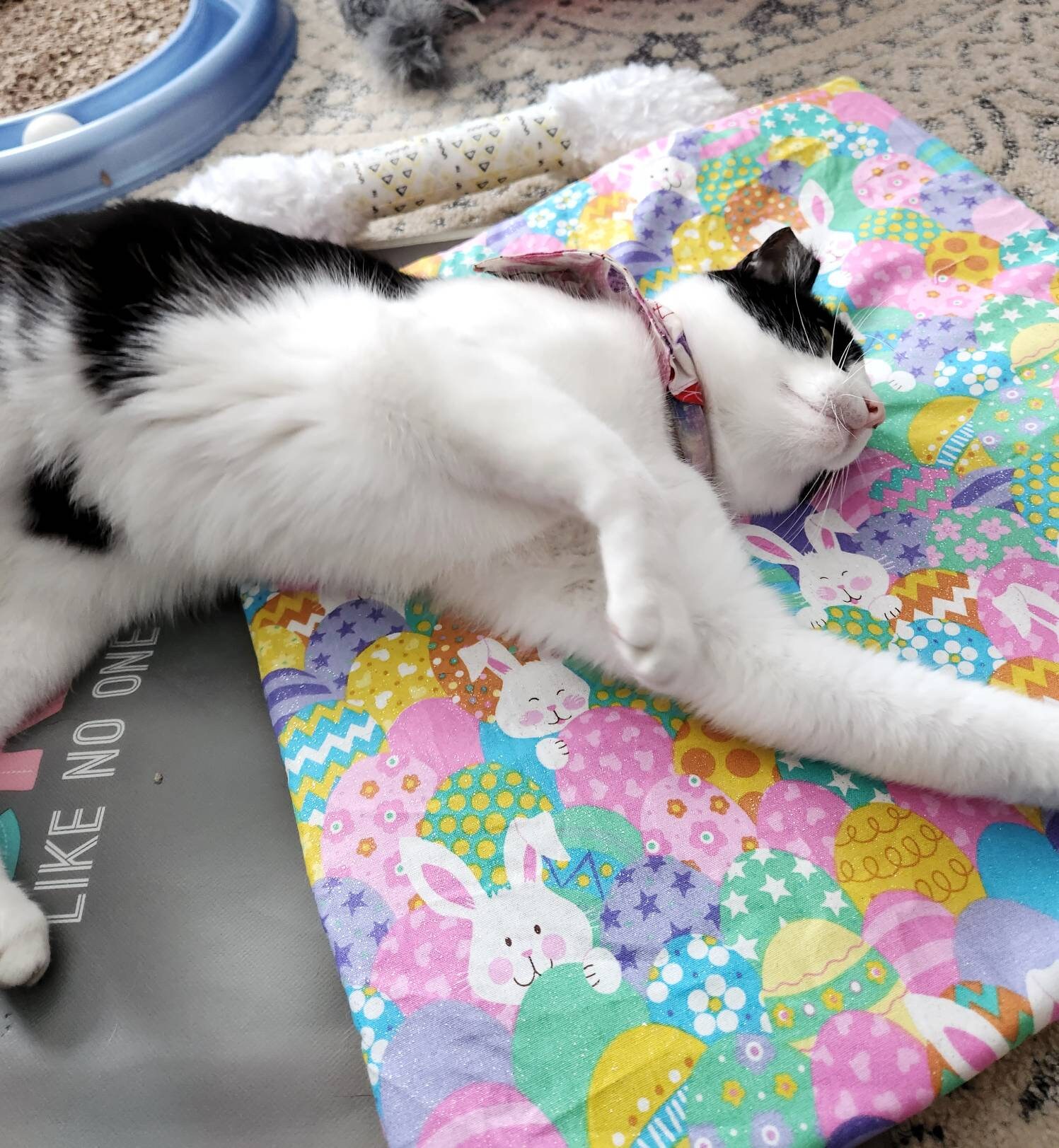 AWOOF Cat Mat, Cute Soft Catnip Mat, Cat Activity Mat Machine Washable  Catnip Toys Interactive Cat Toys for Indoor Cats, Self-Warming Crinkle Mat  Cat