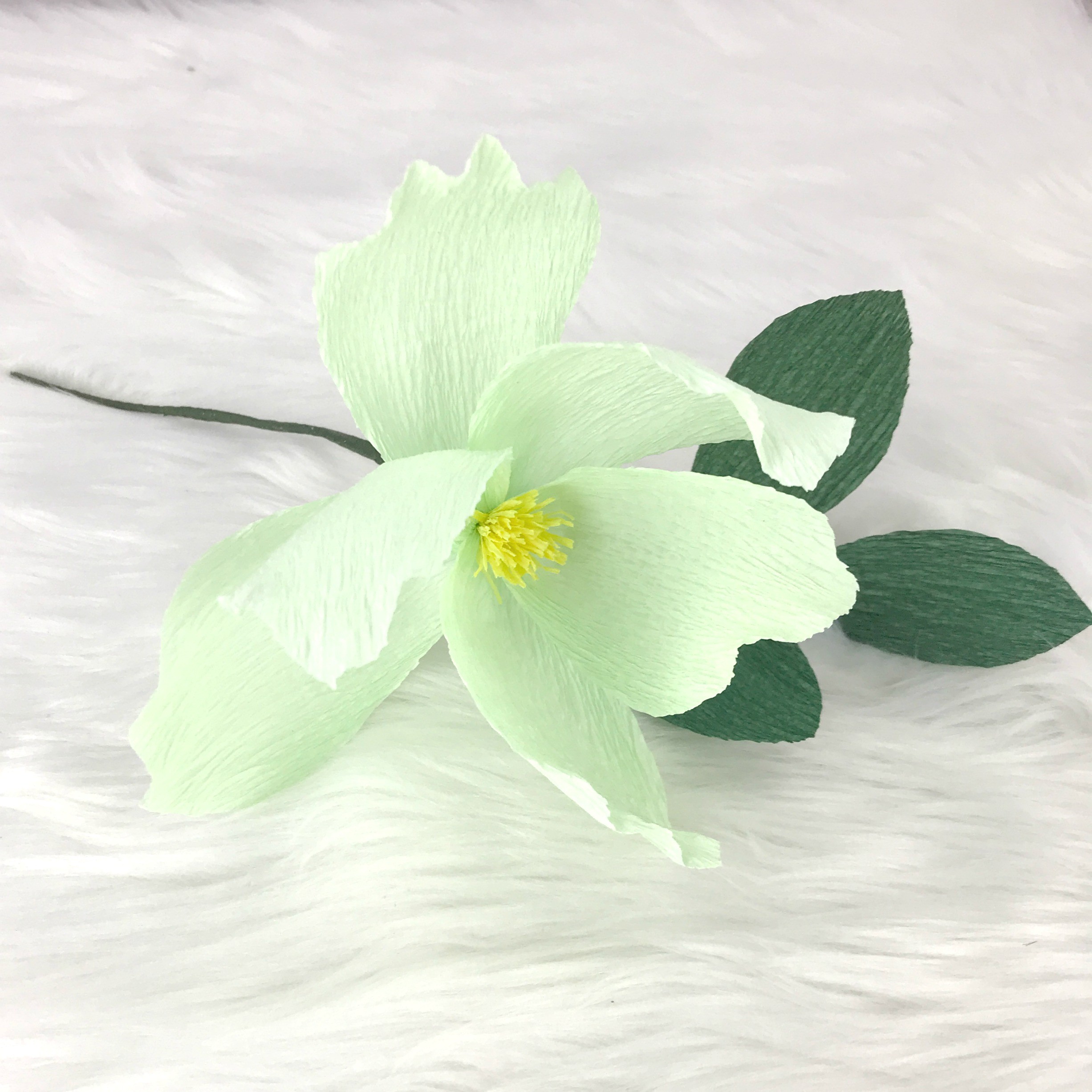 Cherokee choices essay picture