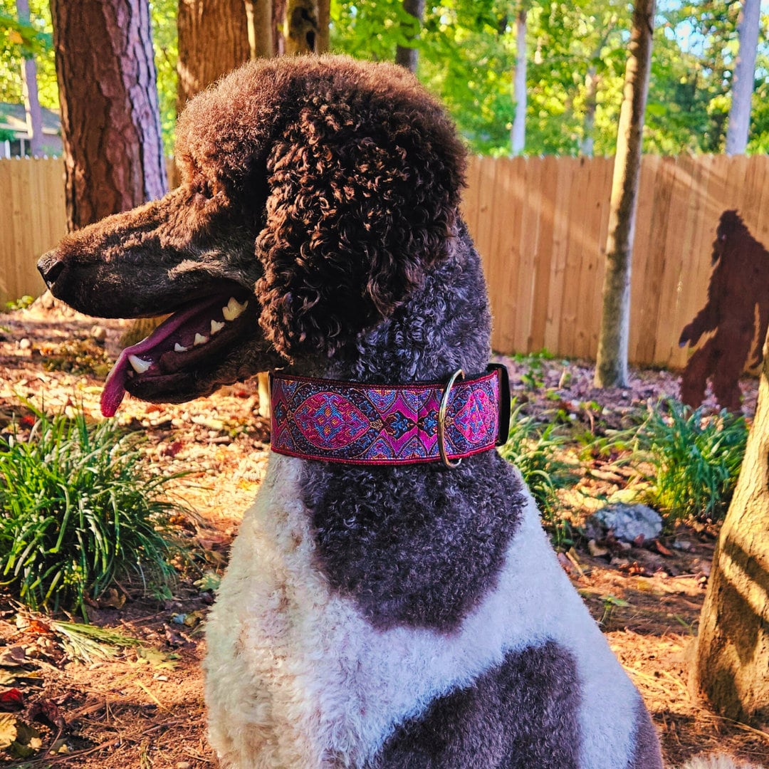 Home Living Pets Collars Leashes Formal Affair Pink 2 Wide Regular or Metal Buckle Dog Collar for Large or Giant Breed Dog. Satin Lined. Gift for Dog