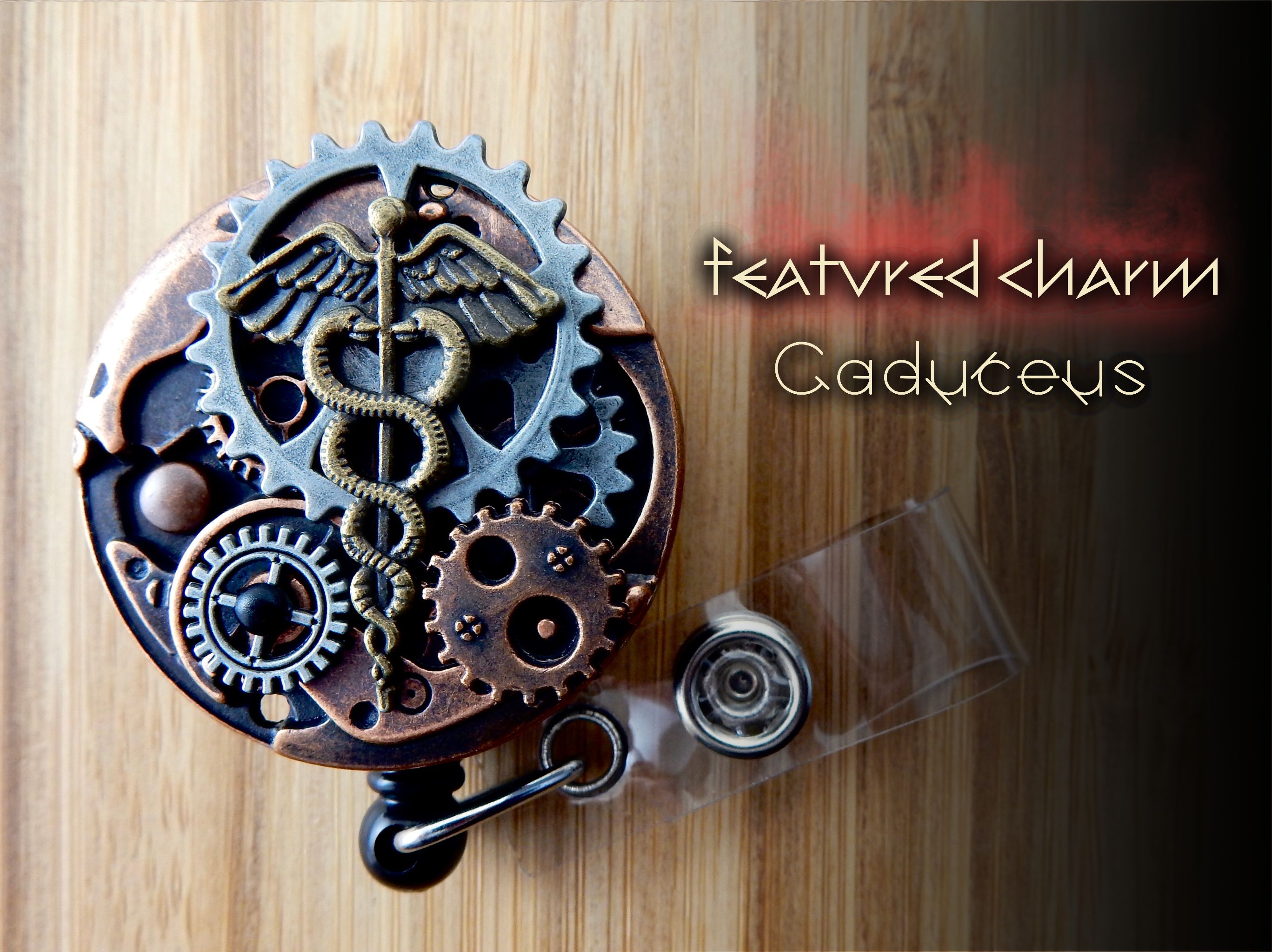 Clothing & Accessories :: Unique RN Gift, Caduceus Badge Holder ...