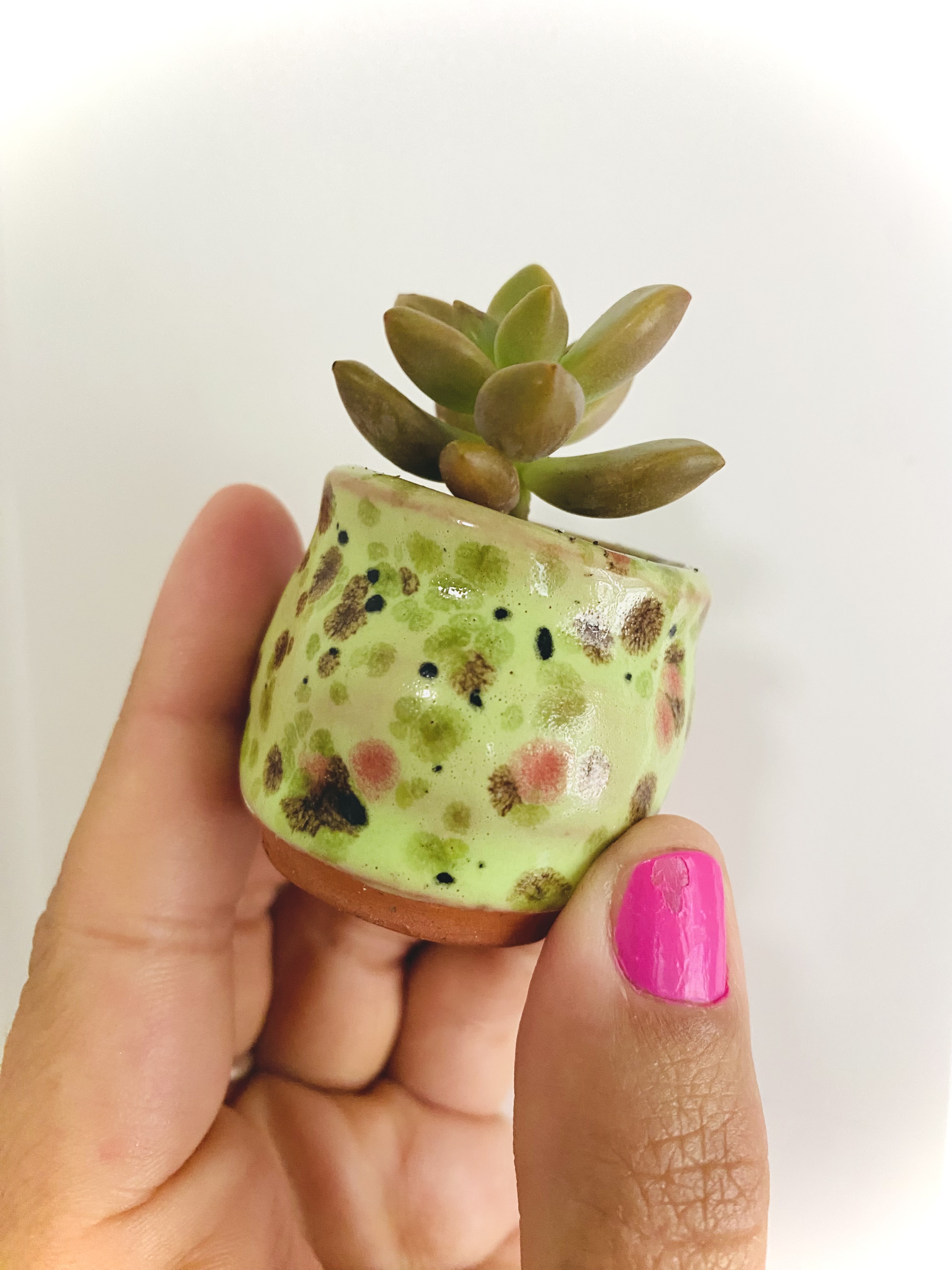 Home & Living :: Home Decor :: Floral & Indoor Planters :: One