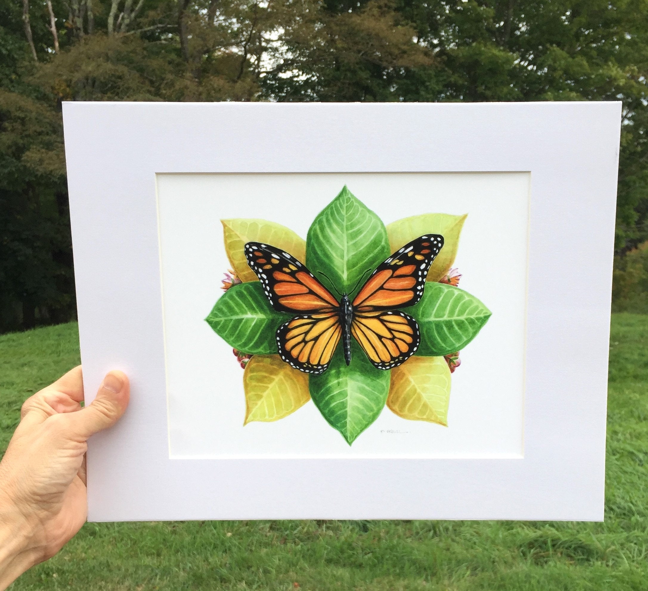 Milkweed & Monarch shops - block print - wildflower linocut print - butterfly art