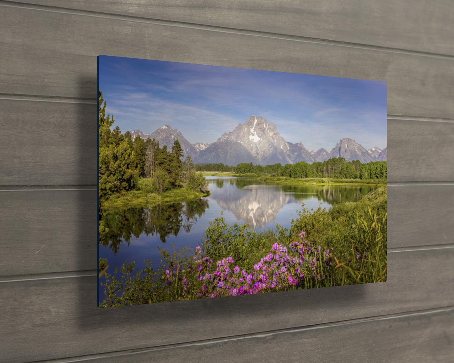 Oxbow Bend in Grand Teton National Park. Mount Moran rising above the snake river, showing a beautiful reflection in the water, with wildflowers in the foreground