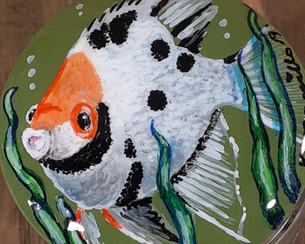 Hnad Painted Angel Fish