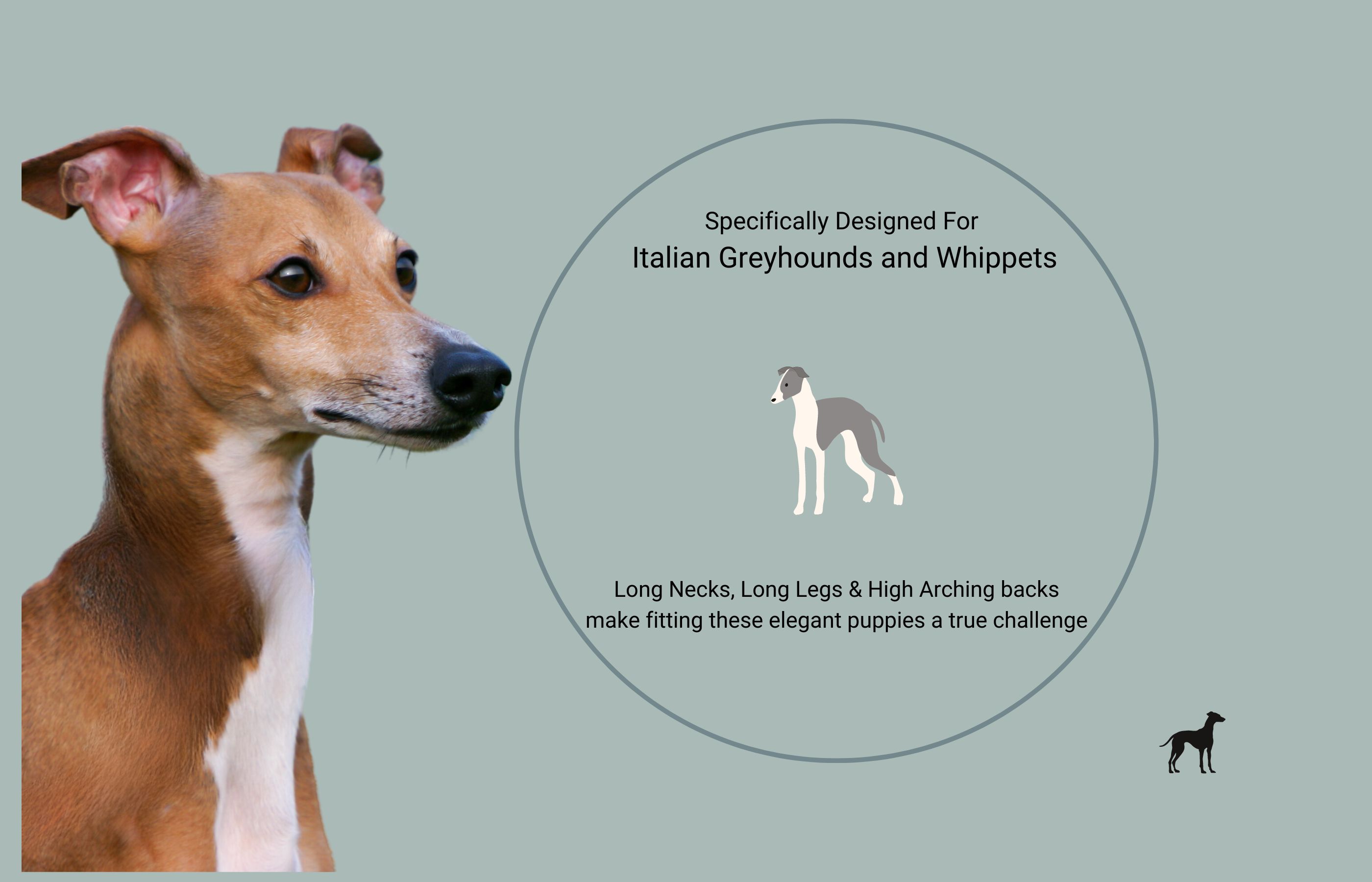 Fleece Dog Coat Poncho for Dogs A Cozy Fall coat for dogs