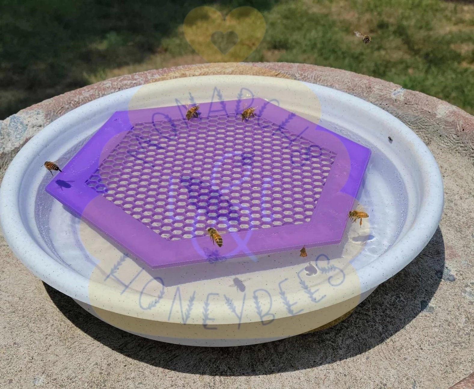 Products Floating Bee Island, Bee Waterer, Bee Water Station