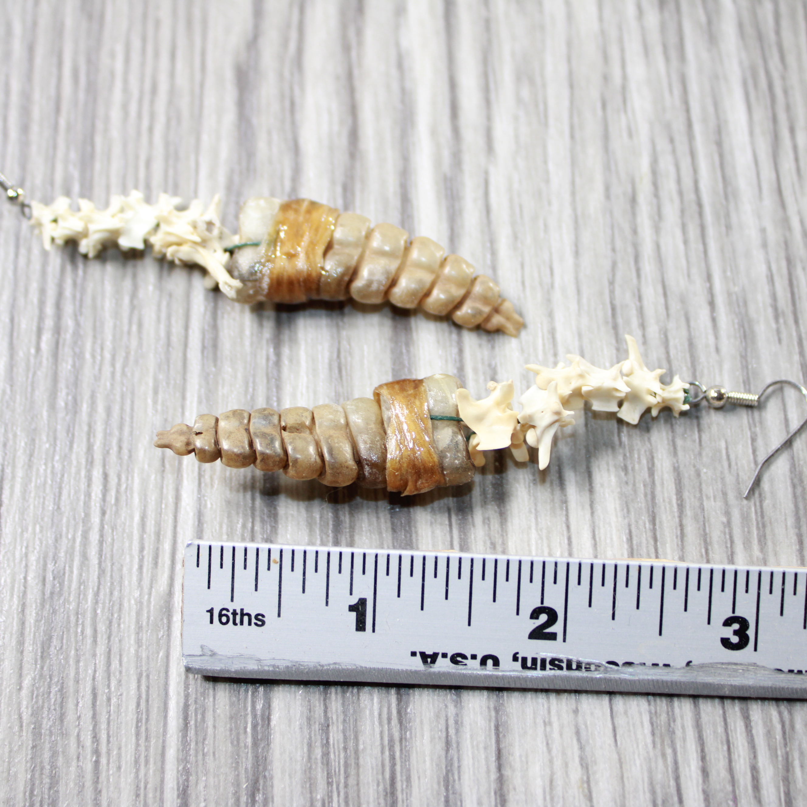 Jewelry Rattlesnake Rattle Plus Vertebrae Earrings 4640 Mountain