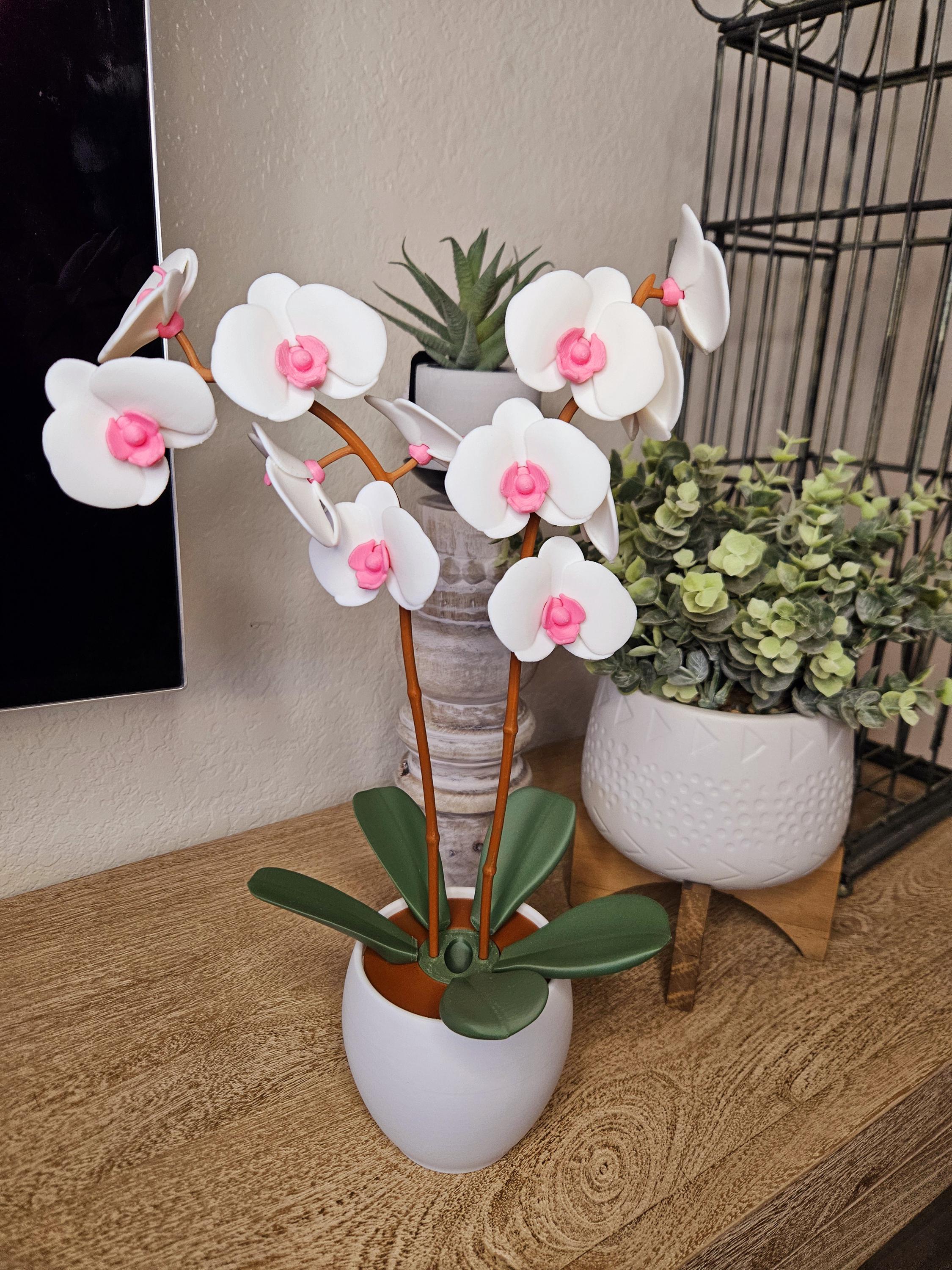 Home & Living :: Home Decor :: Aromatic Orchid Oil Diffuser – 9.5